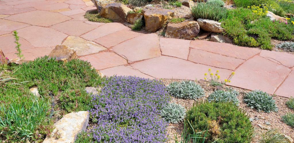 Landscaping project 1